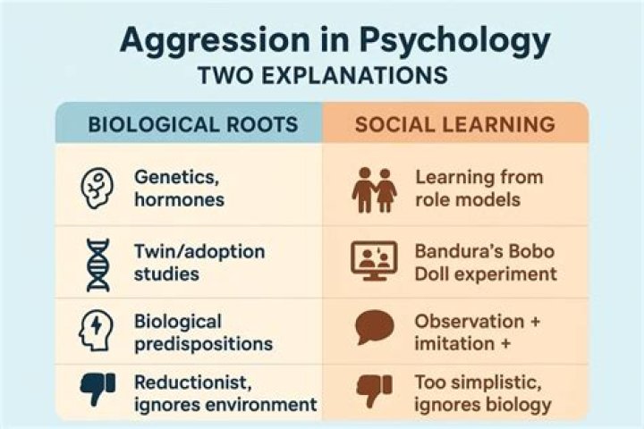 How does social learning theory explain aggression