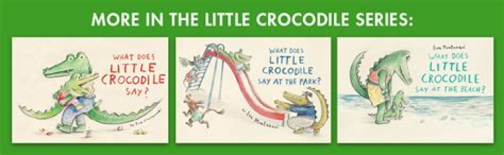 How does the little crocodile improve