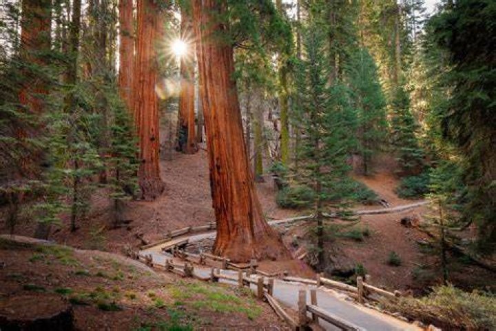 How far is Sequoia National Park from LA