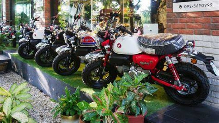 How fast do mini motorcycles go