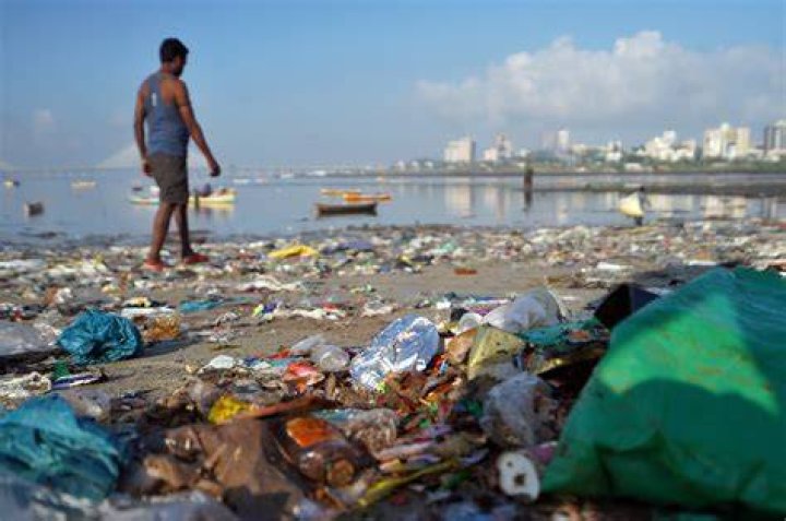 How is pollution bad for the environment