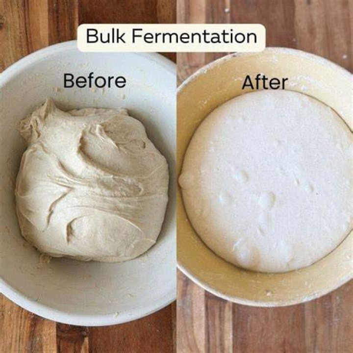 How long can you ferment bread dough
