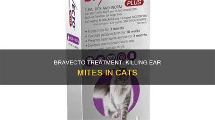 How long does it take Bravecto to kill mites