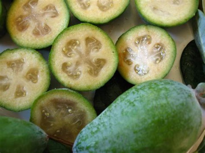 How long does it take for a feijoa to fruit