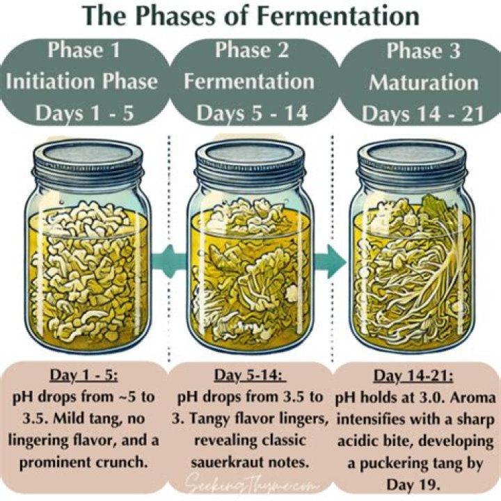 How long does it take to ferment tobacco