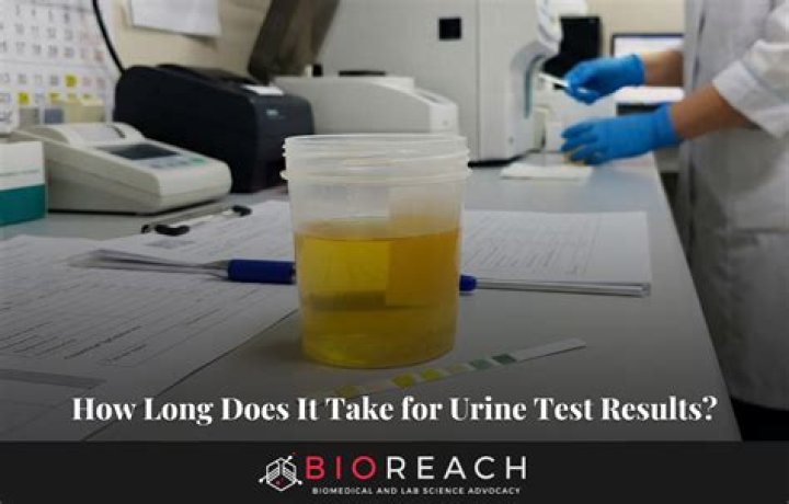 How long does it take to get results from CLO test
