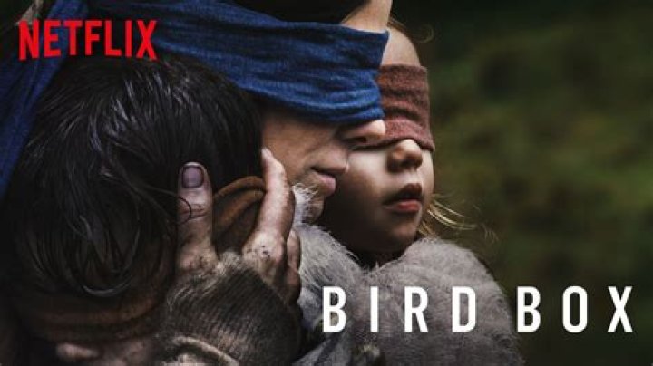 How long is bird box on Netflix