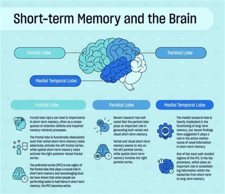 How long is short term memory
