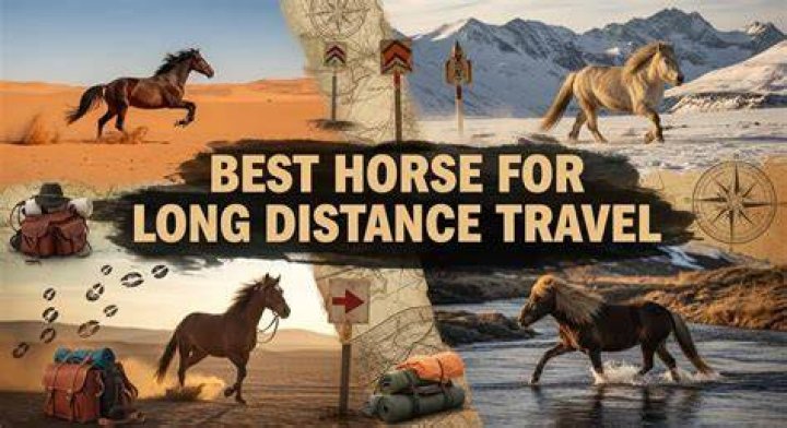 How long would it take to travel by horse