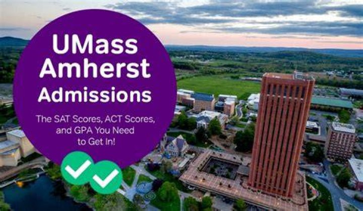 How many applicants does UMass Amherst get