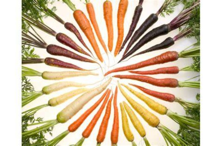 How many carrots are there in the world