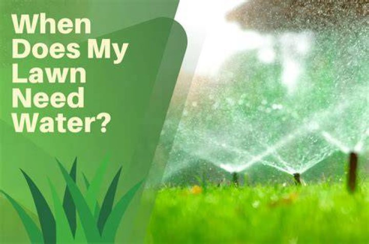 How many mm of water does a lawn need
