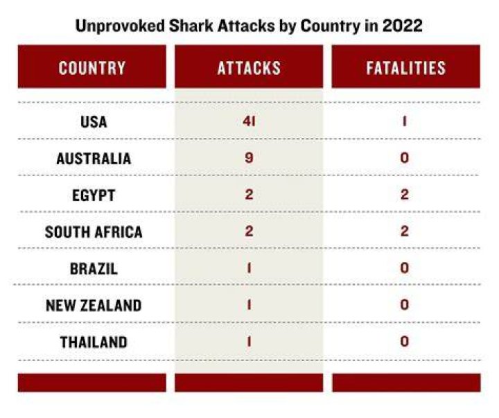 How many shark attacks are there per year around the world
