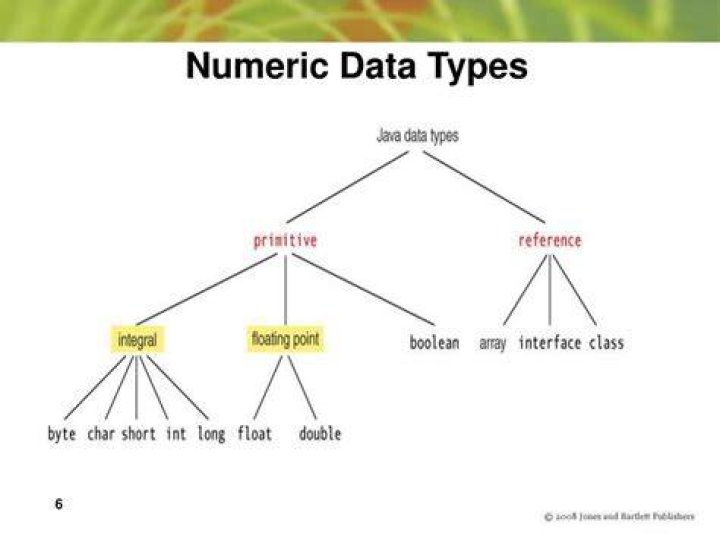 How many types of numeric data are there