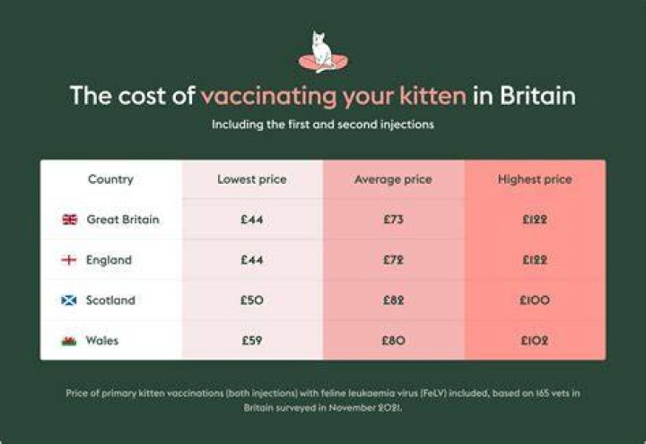 How much do dog vaccinations cost UK