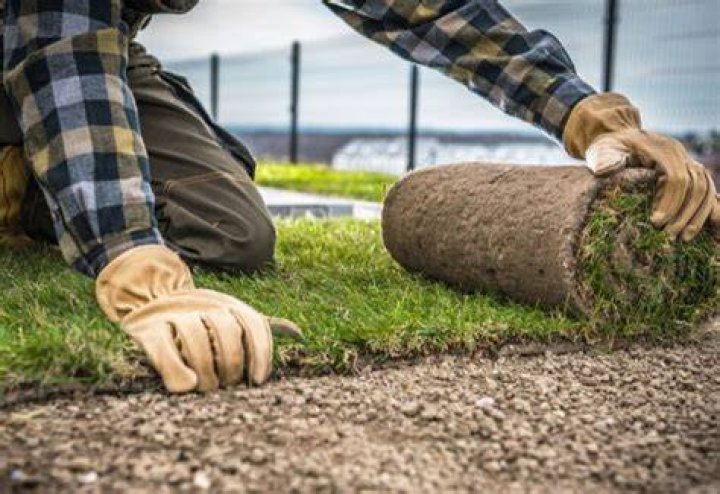 How much does it cost to replace grass with gravel