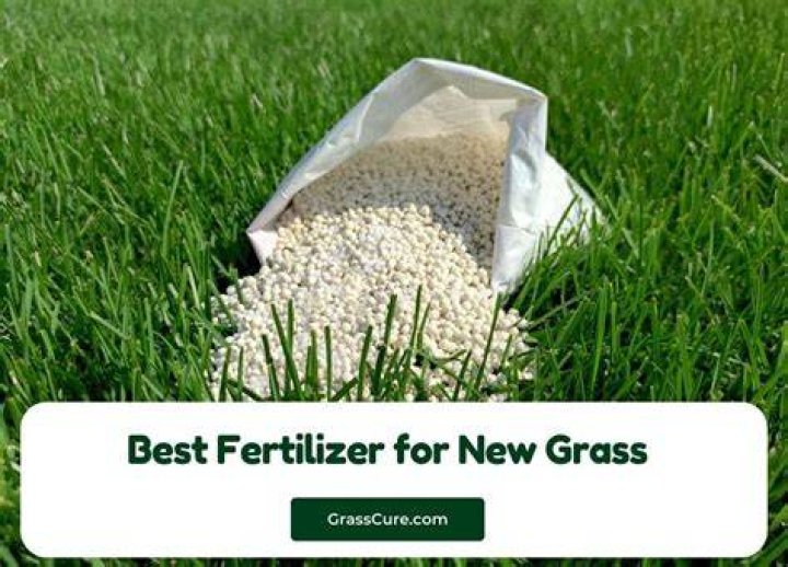 How much is grass fertilizer