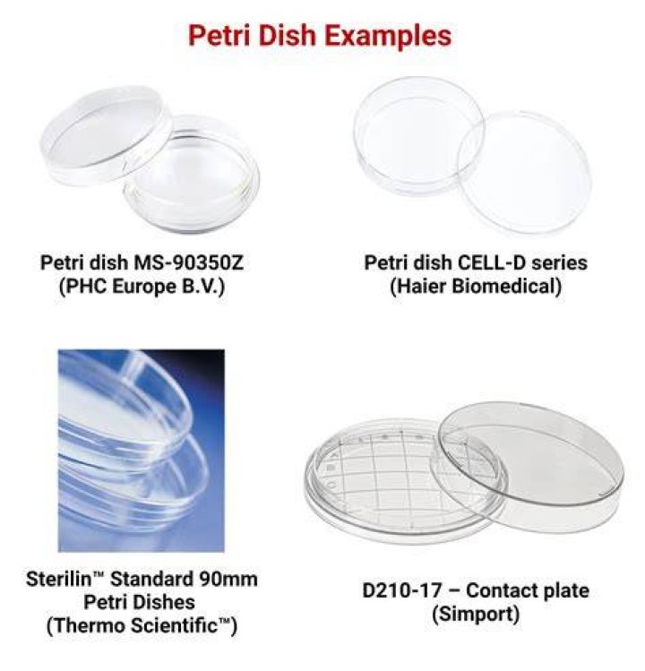 How much media should be in a petri dish