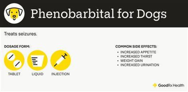 How much phenobarbital can I give my dog
