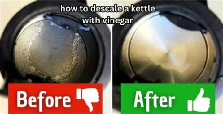 How much vinegar do you use to descale a kettle