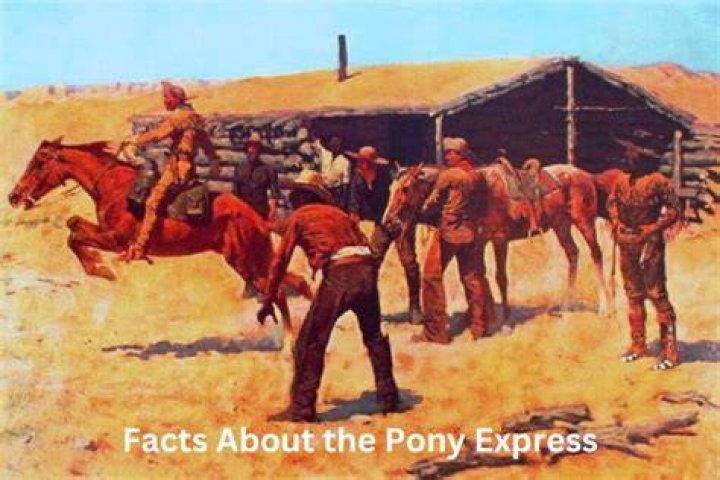How often did the Pony Express change horses