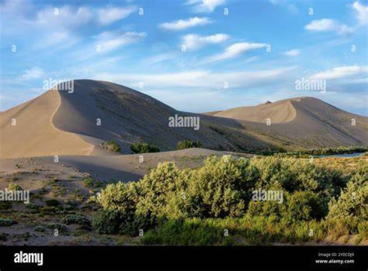 How tall are the Bruneau Sand Dunes