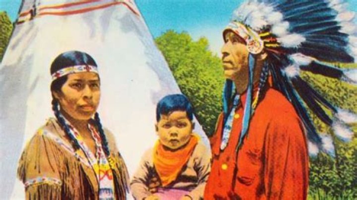 How was the Cherokee tribe governed