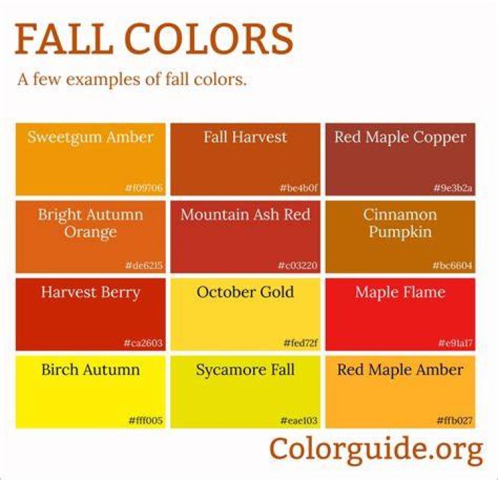 How would you describe fall colors