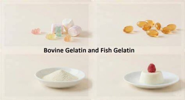 How would you describe gelatin