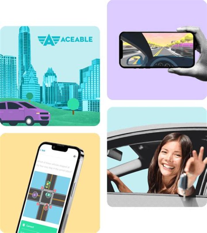 Is aceable DMV approved in Texas