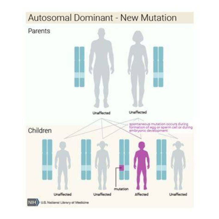 Is achondroplasia genetic or chromosomal