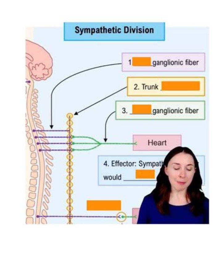 Is an example of a sympathetic response quizlet