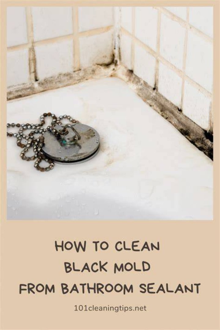 Is black mold in bathroom harmful