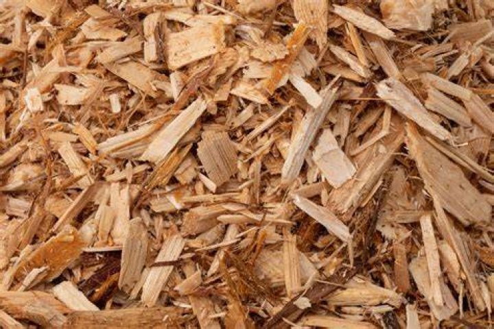 Is cedar chips good for mulch