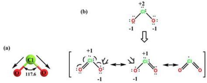 Is ClO2 a free radical