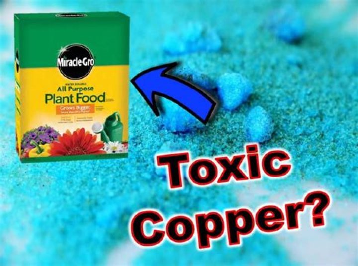 Is copper sulfate toxic to humans