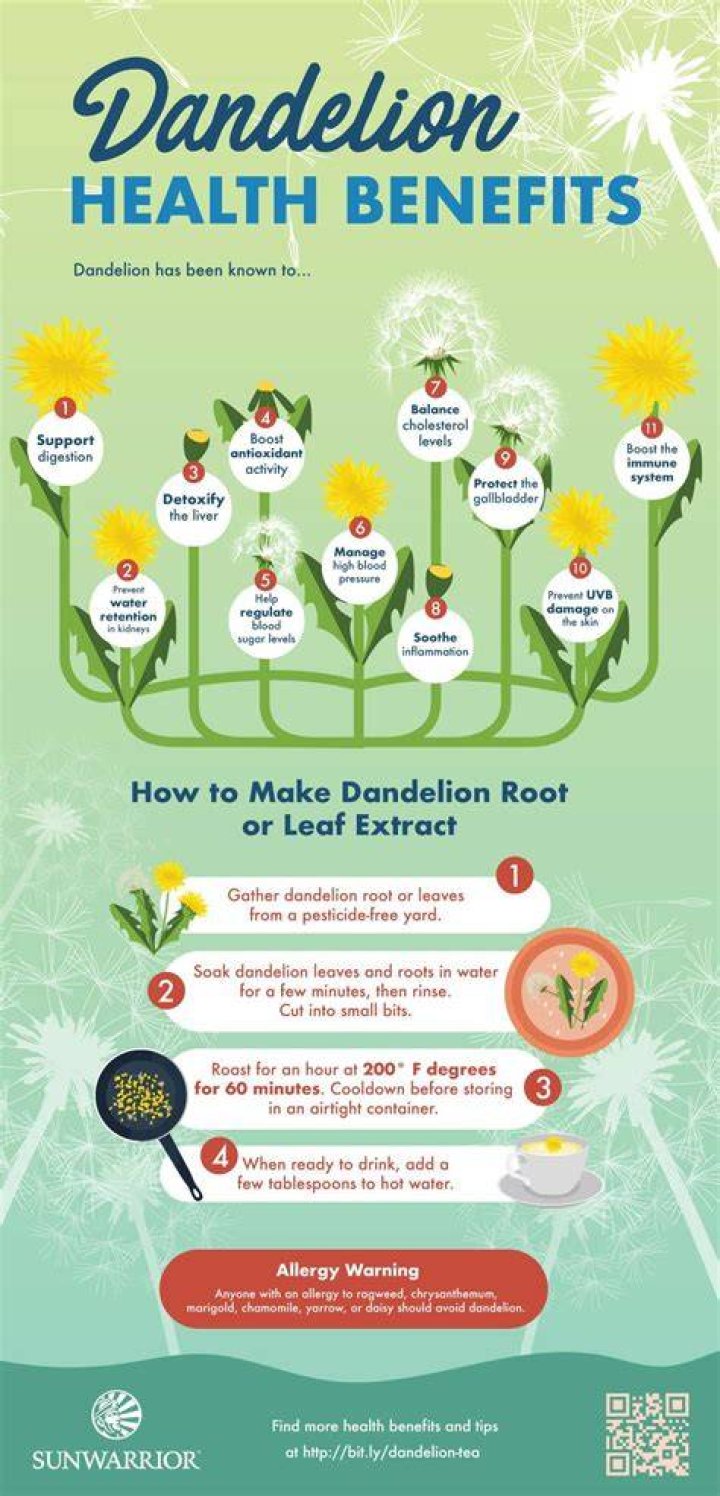 Is dandelion root good for fertility