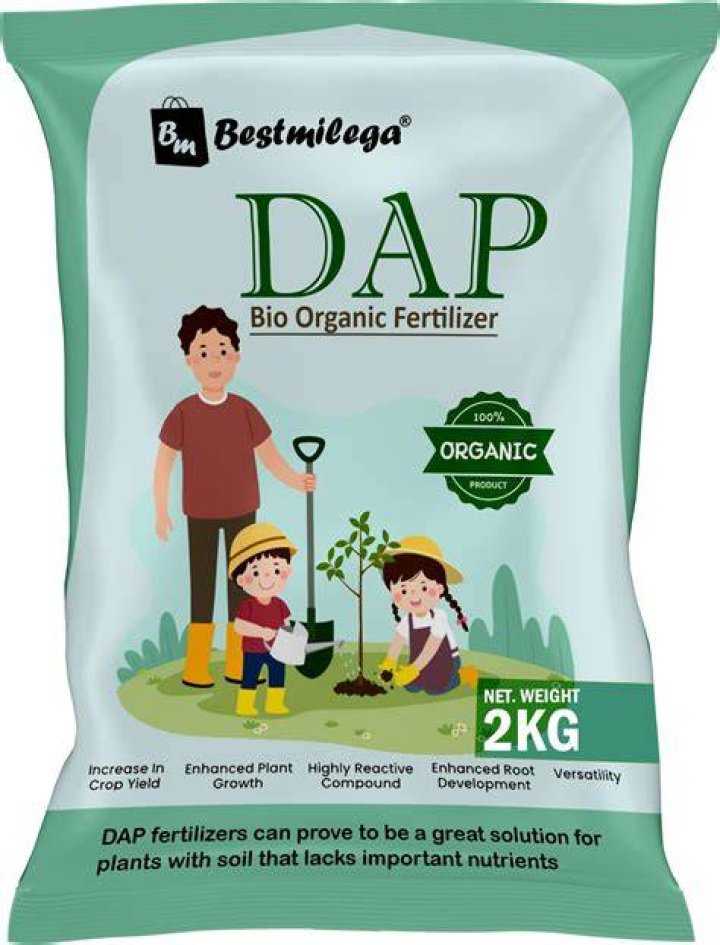 Is DAP fertilizer good for potatoes