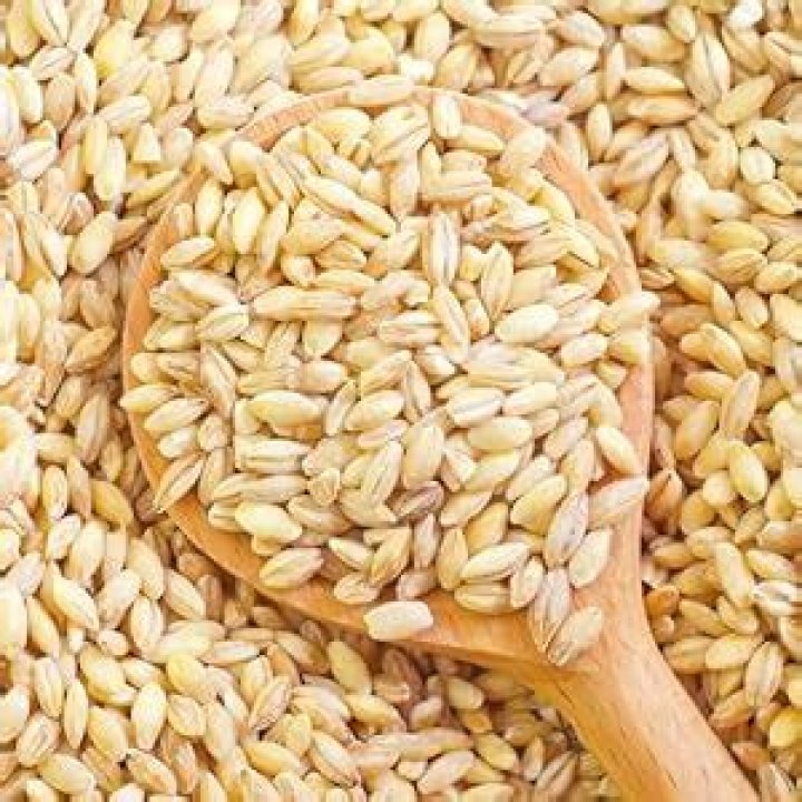 Is Hard White wheat GMO