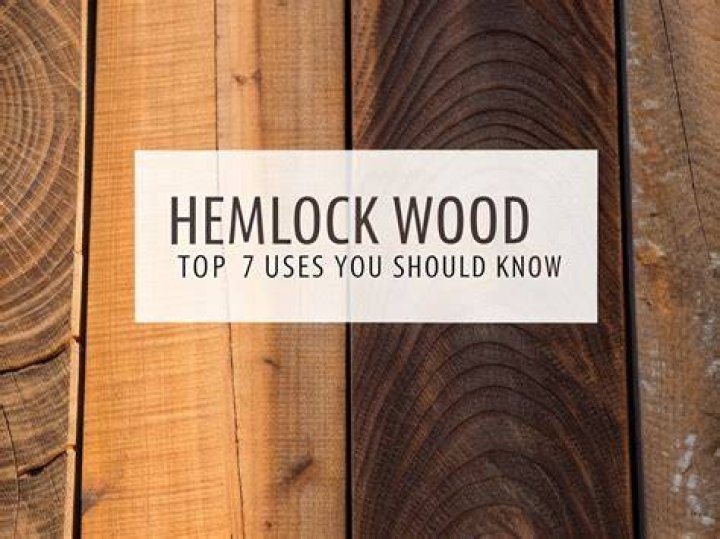 Is Hemlock good for turning