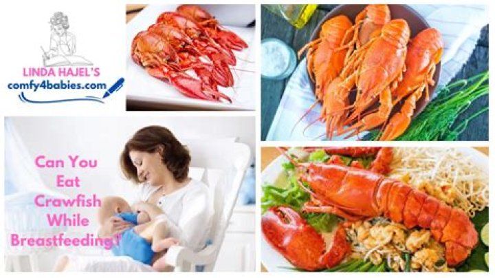 Is it OK to eat crawfish while breastfeeding