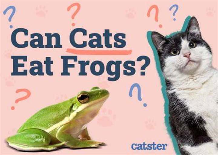 Is it safe to eat frogs