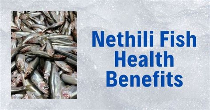 Is Nethili fish good for health