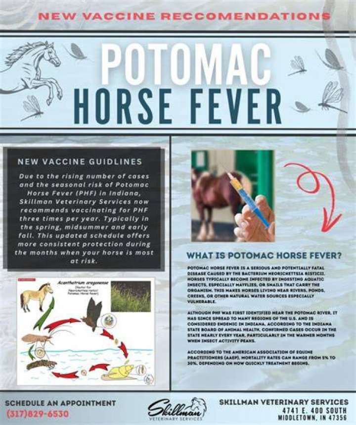Is Potomac horse fever zoonotic