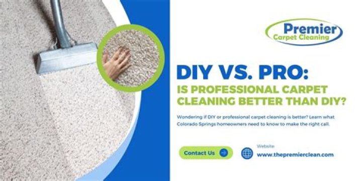 Is professional carpet cleaning better than doing it yourself