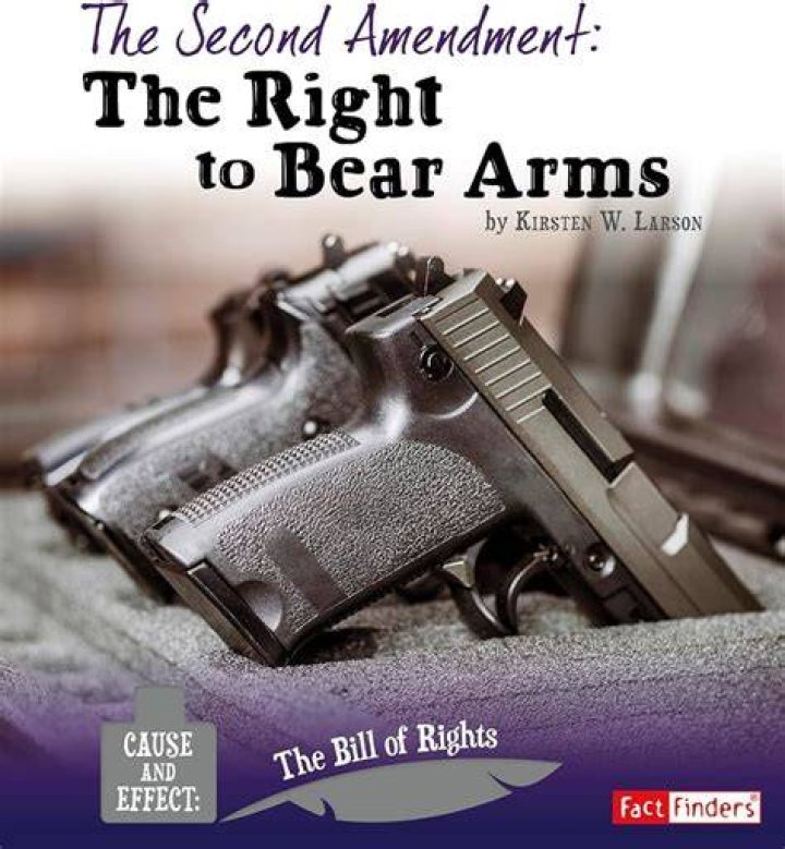 Is right to bear arms a civil liberty