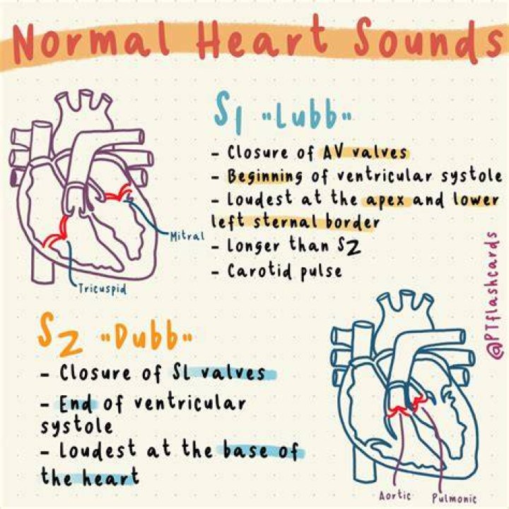 Is s1 or s2 louder at aortic