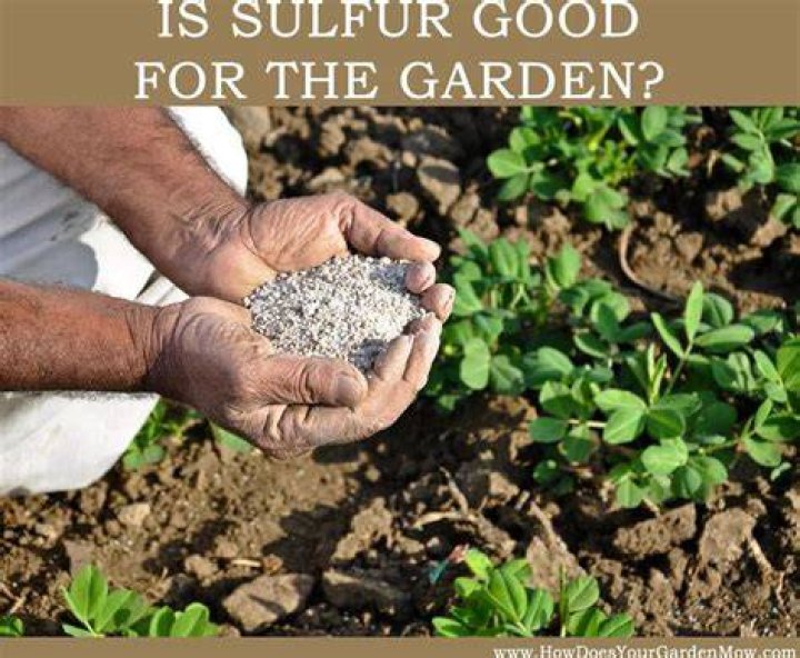 Is Sulfur good for soil