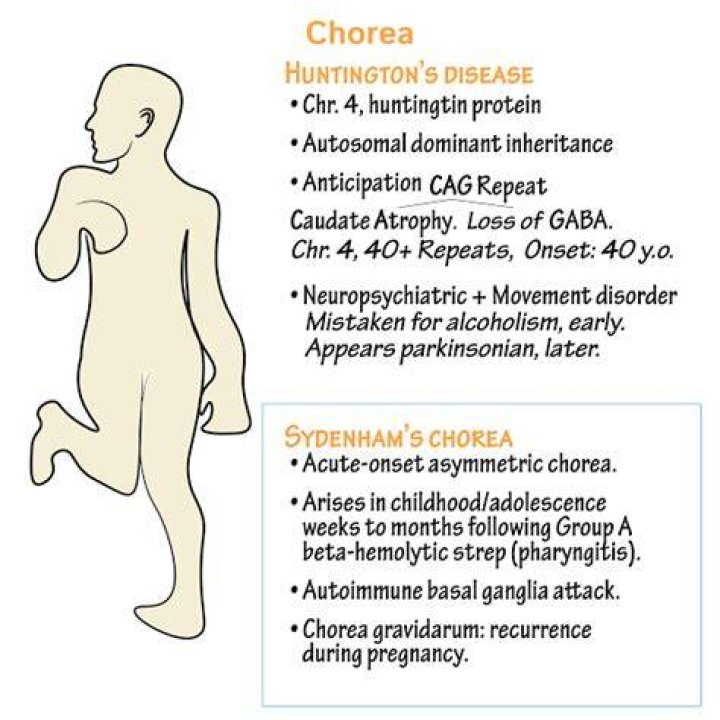 Is Sydenhams chorea hereditary