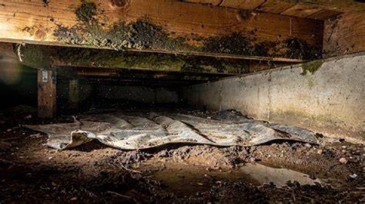 Is there mold in my crawl space